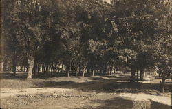 Public Park Shannon, IL Postcard Postcard Postcard