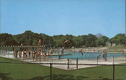 Municipal Swimming Pool Postcard