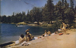 The Pines Beach at The Pines Resort Bass Lake, CA Postcard Postcard Postcard