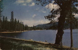 Bass Lake, California Postcard Postcard Postcard