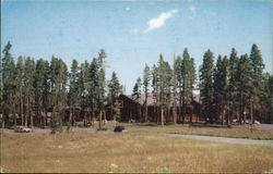 Canyon Lodge, Yellowstone Park Postcard