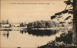 Bathing Beach on Lake Whittemore Postcard