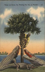 "Come On Down, I'm Waiting For You In Florida" Black Americana Postcard Postcard Postcard