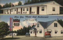 Blue Jay Motel and Restaurant Salem, VA Postcard Postcard Postcard