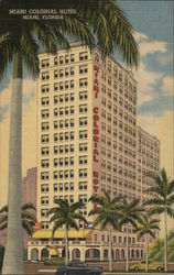 Miami Colonial Hotel Florida Postcard Postcard Postcard