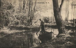 Man Boating Amid Trees Postcard