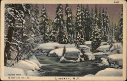 Winter Scene Liberty, NY Postcard Postcard Postcard