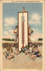 Just the Right Temperature in Florida Jacksonville, FL Postcard Postcard Postcard