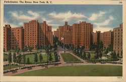 Parkchester in the Bronx New York, NY Postcard Postcard Postcard