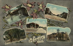 Views of Peabody Postcard