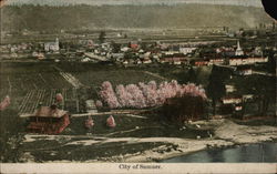 Looking Toward City Sumner, WA Postcard Postcard Postcard