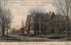 Mathews Ave. Looking South, Natural History Building, University of Illinois Postcard