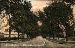 Green Street Champaign, IL Postcard Postcard Postcard