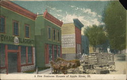 Apple River, IL- A Few Business Houses (shops) Illinois Postcard Postcard Postcard