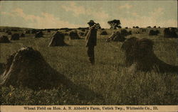 Wheat Field on Hon. A. N. Abbot's Farm, Whiteside Co. Postcard