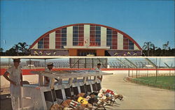 Jai Alai and Dog Racing Daytona Beach, FL Postcard Postcard Postcard