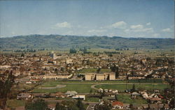 View of Town Postcard