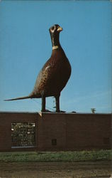 Largest Pheasant in the World Huron, SD Postcard Postcard Postcard