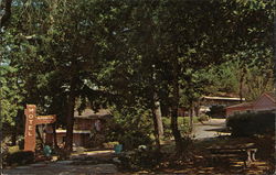 Madrona Motel Phillipsville, CA Postcard Postcard Postcard