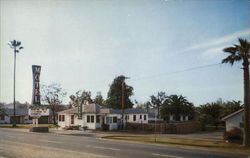 Palm Motel Postcard