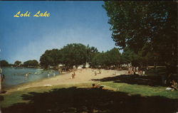 Lodi Lake Park Postcard