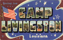 Greetings From Camp Livingston Louisiana Postcard Postcard