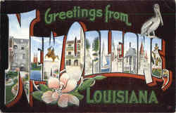 Greetings From New Orleans Louisiana Postcard Postcard