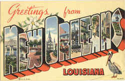 Greetings From New Orleans Postcard