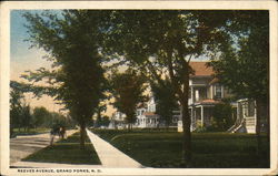 Reeves Avenue Postcard