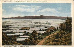 Santa Clara Valley at Blossom Time Postcard