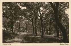 Campus Oaks, Beloit College Postcard