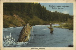 The Fish I Caught Yesterday "Believe It Or Not", Thessalon, Ontario Postcard