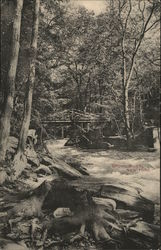 Bronx River Postcard