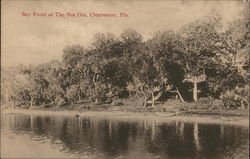 Bay Front at The Sea Ora Clearwater, FL Postcard Postcard Postcard