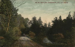 On the Road from Grahansville, NY to Liberty Postcard