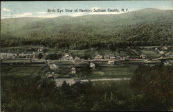 Birds Eye View of Hankins, Sullivan County Postcard