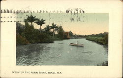 Scene Up The Miami River Postcard