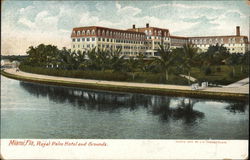 Royal Palm Hotel and Grounds Postcard