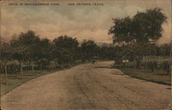 Drive in Brackenridge Park San Antonio, TX Postcard Postcard Postcard