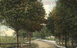 Huguenot Road New York Postcard Postcard Postcard