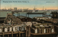 Shipping Cotton, Norfolk Harbor Virginia Postcard Postcard Postcard