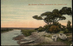 Marshes of Glynn, Lanier's Oak Brunswick, GA Postcard Postcard Postcard