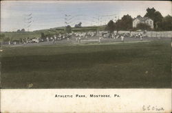 Athletic Park Montrose, PA Postcard Postcard Postcard