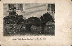 F. G. Rounsville's Pony, "Dandy" Fowlerville, MI Postcard Postcard Postcard