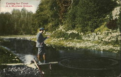 Casting for Trout in a Montana Stream Postcard