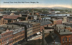 General View from City Hall Tower Postcard