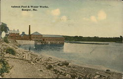 Salmon Pool & Water Works Bangor, ME Postcard Postcard Postcard