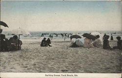 Bathing Scene York Beach, ME Postcard Postcard Postcard