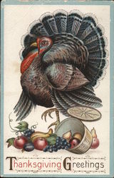 Thanksgiving Greetings Postcard