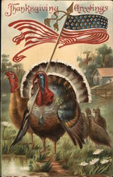 Thanksgiving Greetings Patriotic Postcard Postcard Postcard